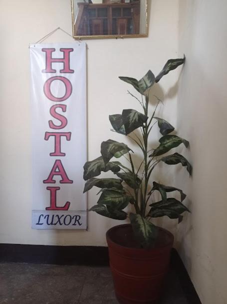 Hostel Luxor Arequipa Zewnętrze zdjęcie